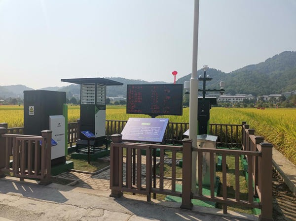 玛雅吧农作物病虫害监测点 玛雅吧农作物病虫害监测点