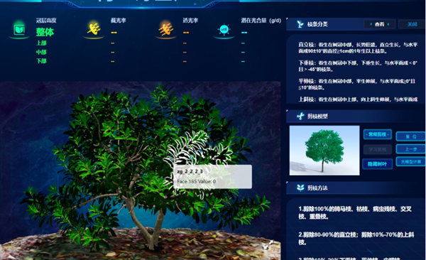 “云”上种颗杨梅树，田舍照着养杨梅