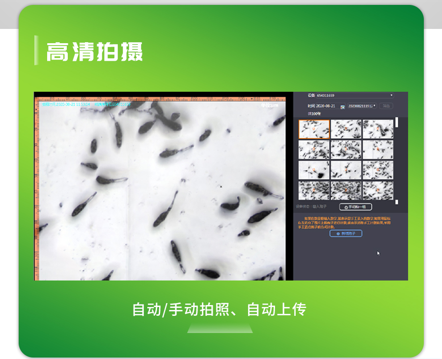 智能孢子捉拿仪