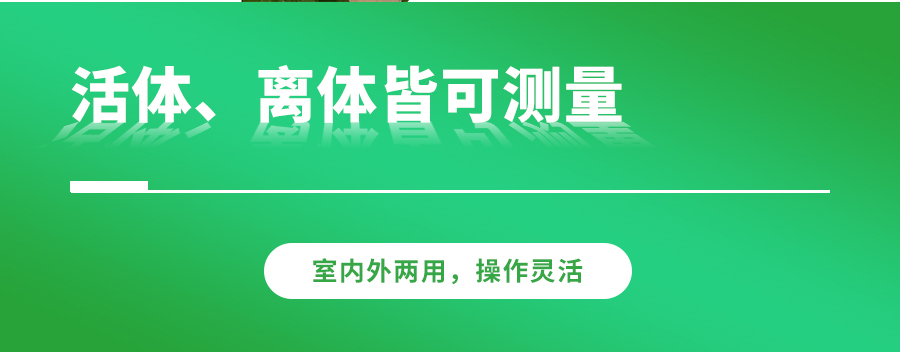 光合作用测定仪 光合作用测定仪