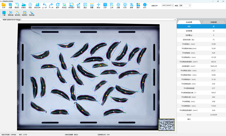 1. 豆荚表型测定 总了局.png